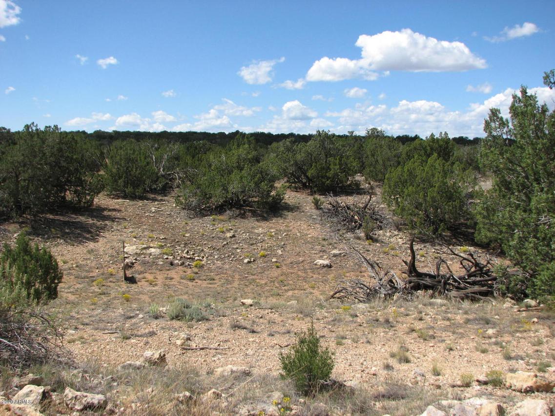 Sec 29 Cr #005F, Heber, AZ 85928