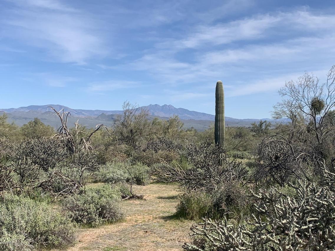 27600 N 162nd St. #-, Scottsdale, AZ 85262