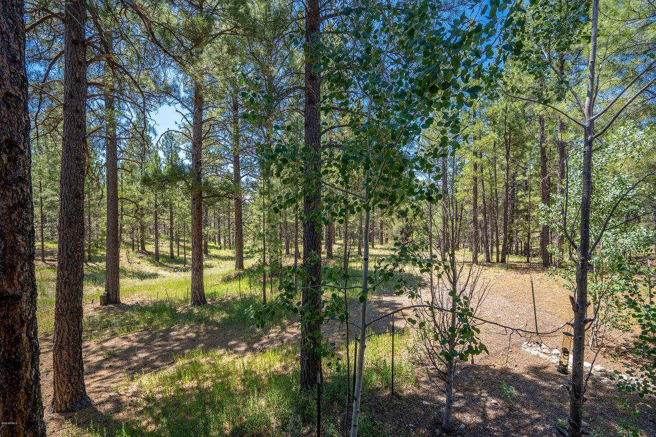 1402 E Castle Hills Dr., Flagstaff, AZ 86001