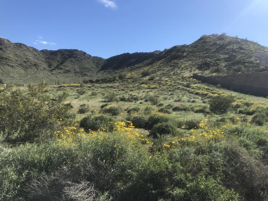 7683 W Sun Dance Dr. #73, Queen Creek, AZ 85144