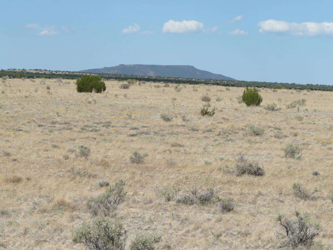 CCR Unit 6 Lot 771 #771, Heber, AZ 85928