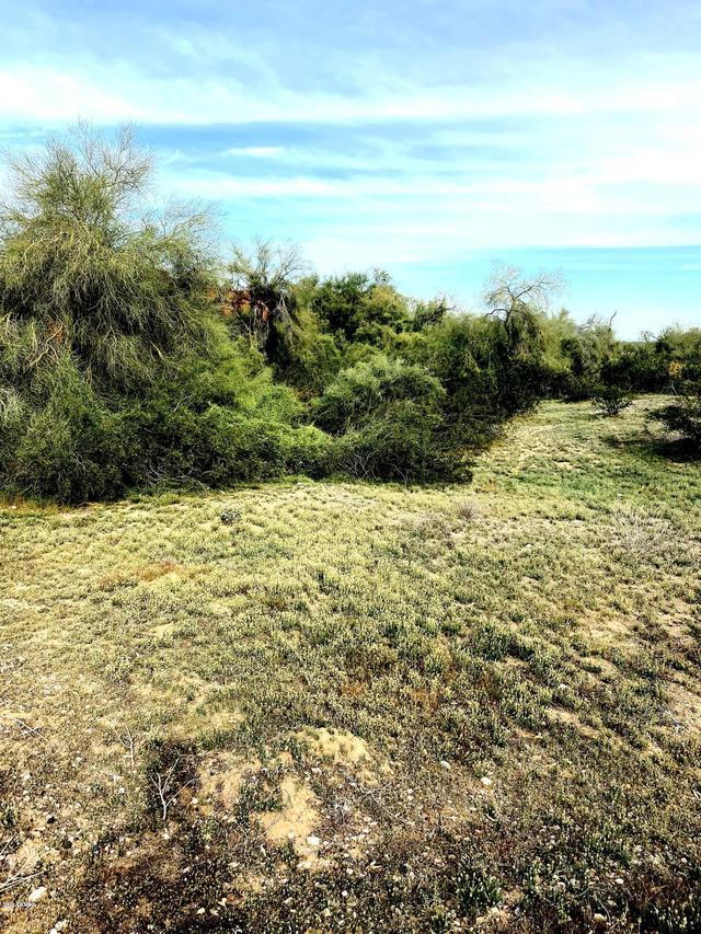 8507 N 192nd Ave. #48, Waddell, AZ 85355