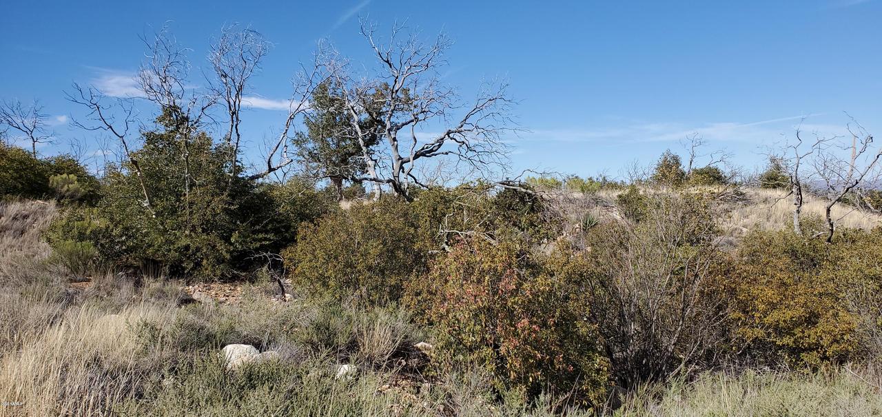 -- E Lower Stump Canyon #-, Hereford, AZ 85615