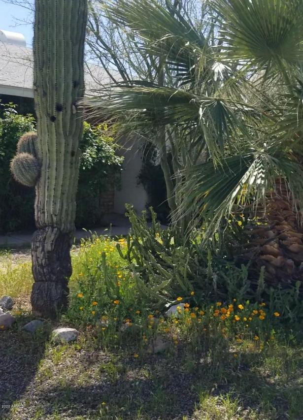 4209 W Golden Ln., Phoenix, AZ 85051