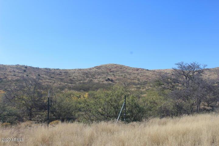 TBD E Gleeson Rd. #2, Elfrida, AZ 85610