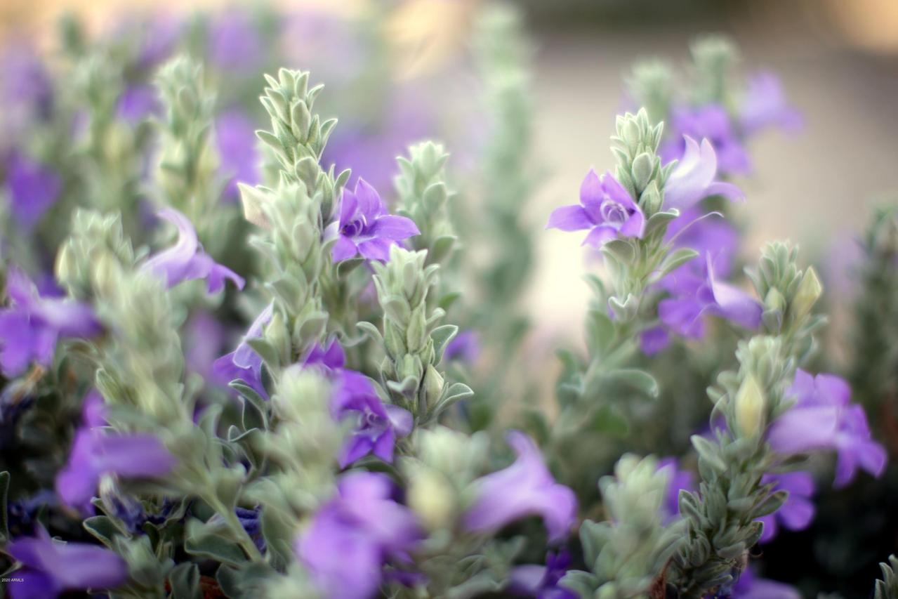 19433 N 83rd Dr., Peoria, AZ 85382