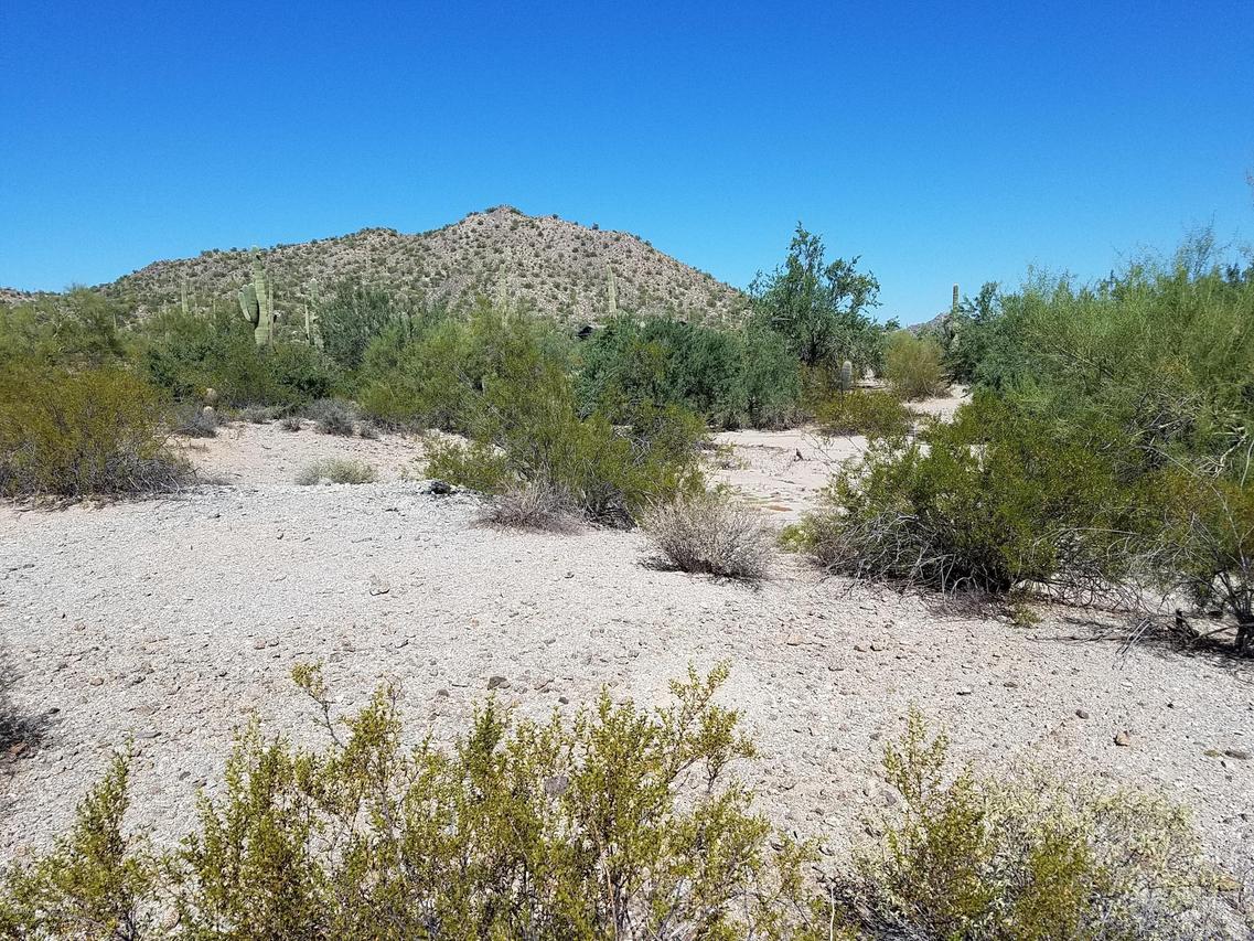 W Adobe Dam Rd. #5, Queen Creek, AZ 85144