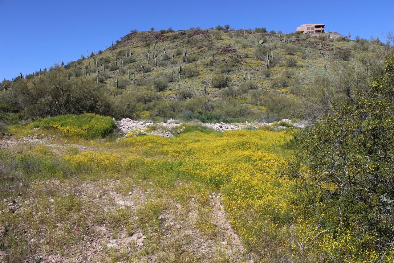 3101 W Joy Ranch Rd. #:-), Phoenix, AZ 85086