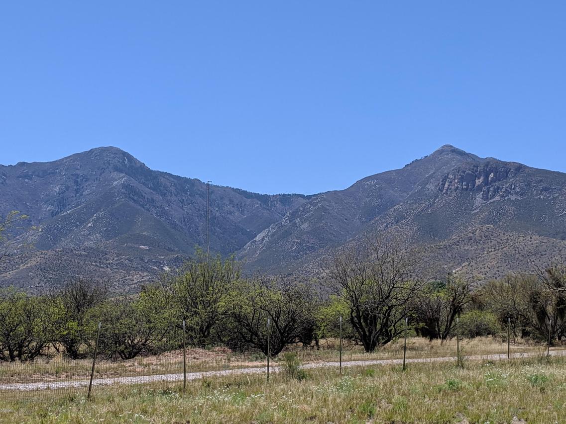 Lot B S Jaxel Rd. #_, Hereford, AZ 85615