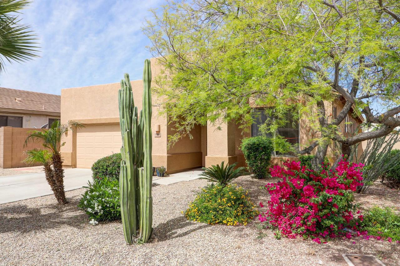 3302 N 126th Dr., Avondale, AZ 85323
