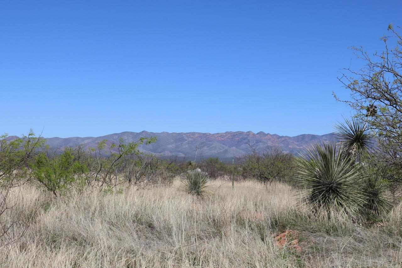 TBD S Hargis Ranch Rd. #46, Hereford, AZ 85615