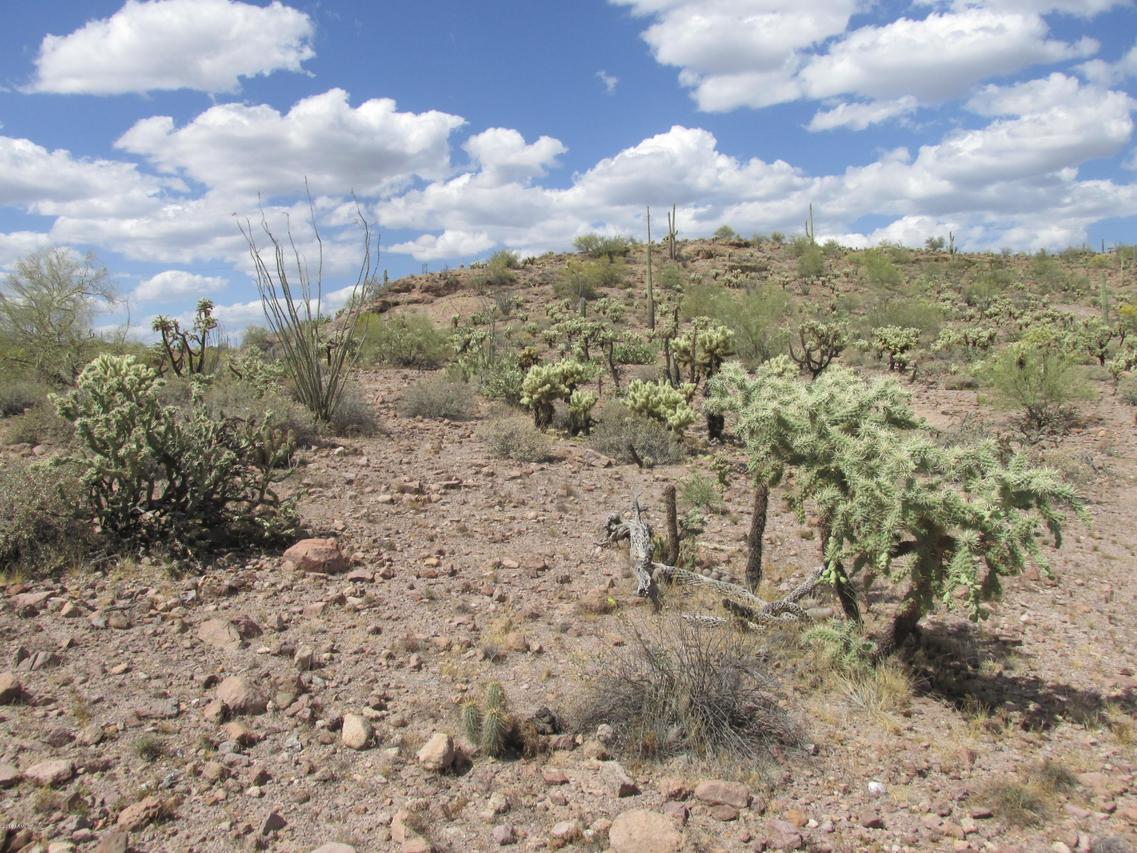 74 N Elephant Butte Rd. #003V, Queen Valley, AZ 85118