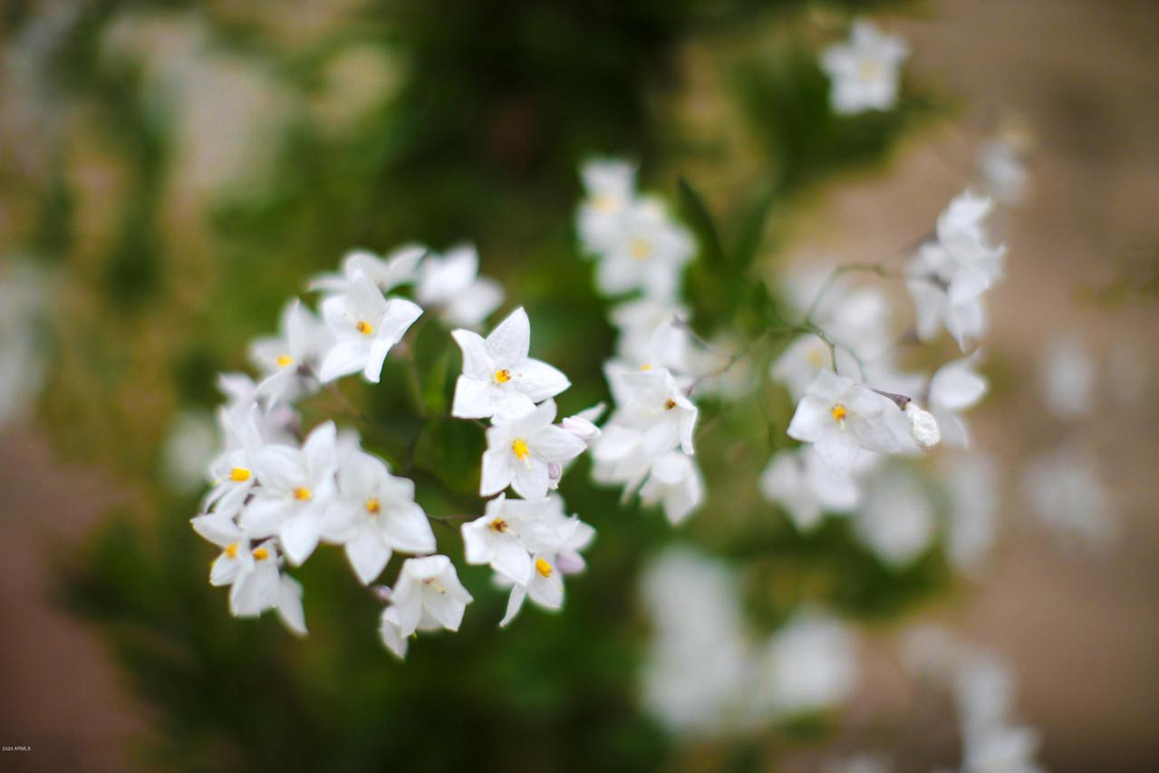 12518 W Sells Dr., Litchfield Park, AZ 85340