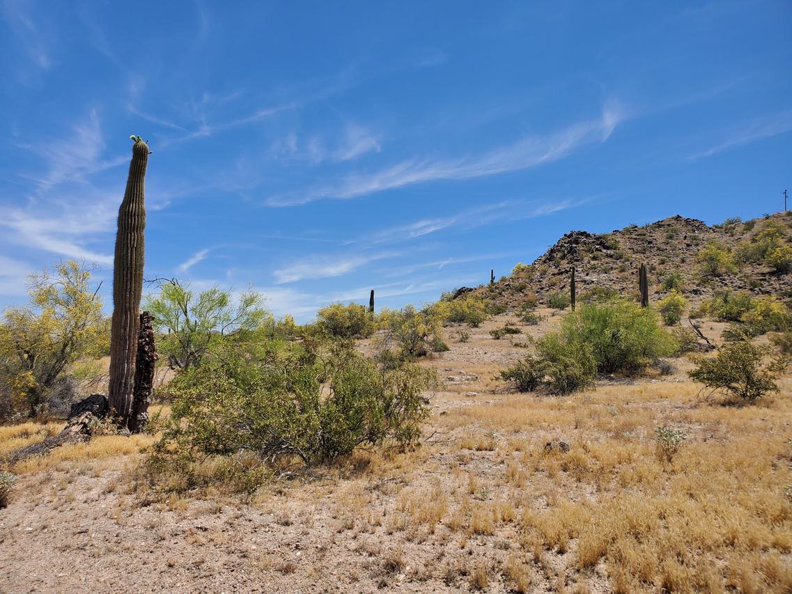 0000 S 192 Ave. #1, Buckeye, AZ 85326