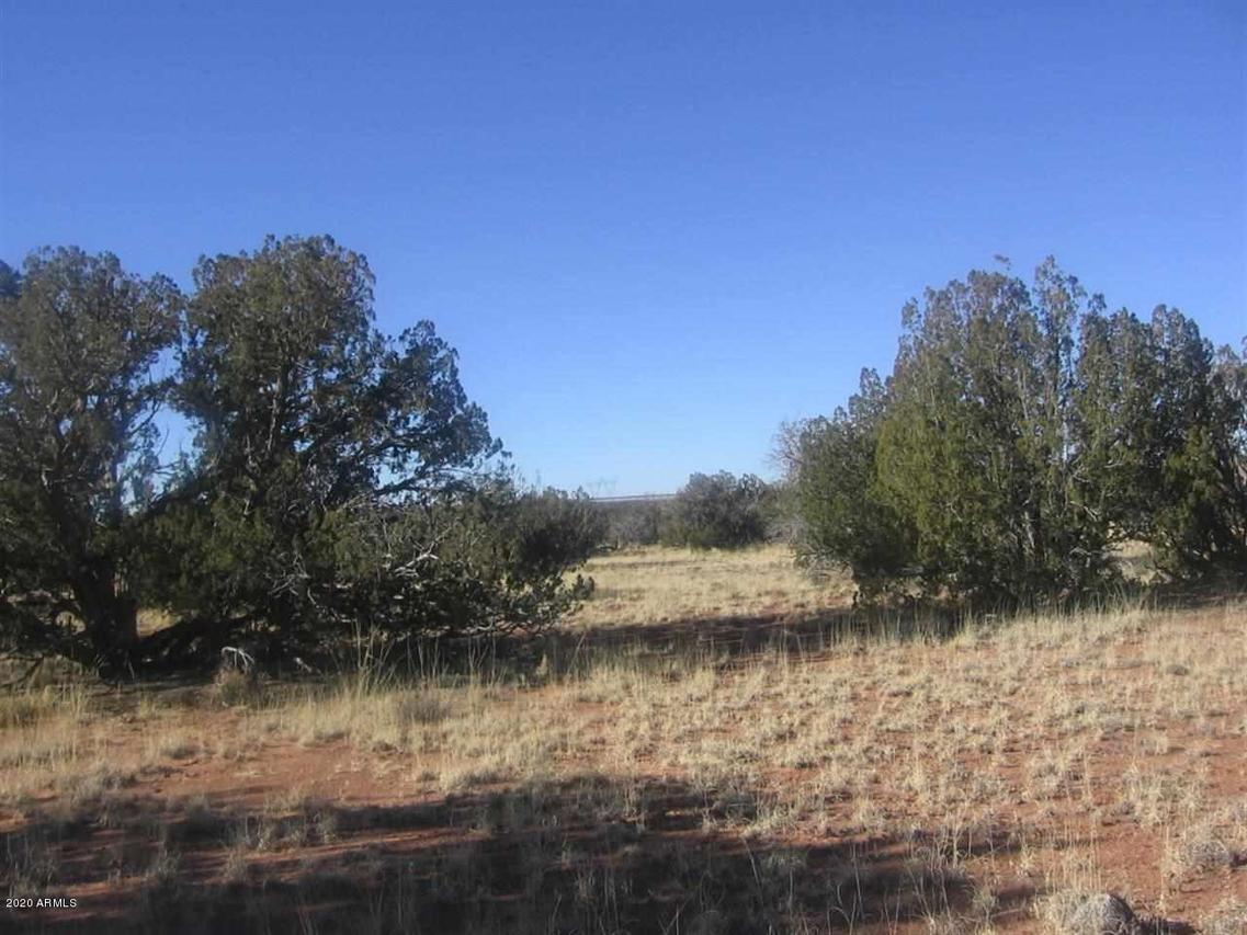 5887 Dark Canyon Dr. #96, Heber, AZ 85928