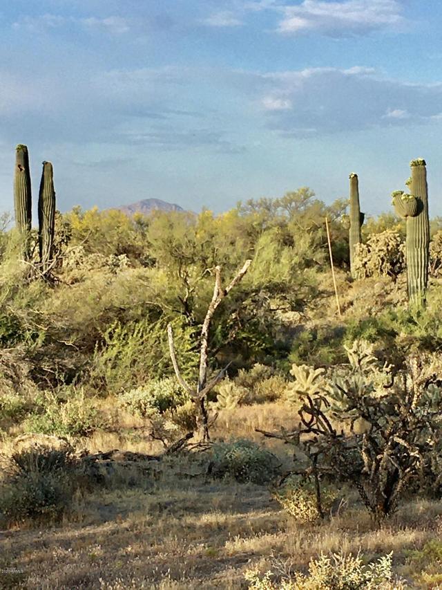 TBD E Saddle Horn Tr. #109, Florence, AZ 85132