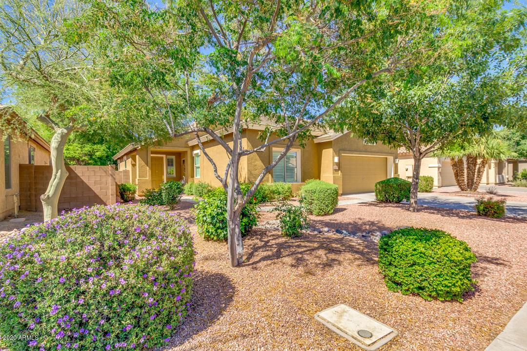 3100 E Lark Dr., Chandler, AZ 85286