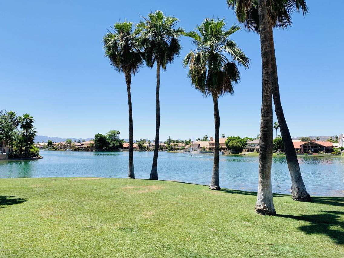 3830 E Lakewood Pkwy. #2081, Phoenix, AZ 85048