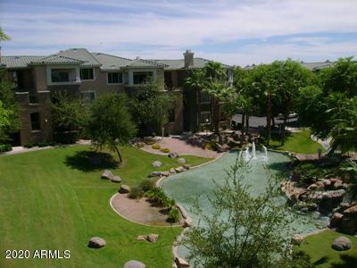 5345 E Van Buren St. #309, Phoenix, AZ 85008