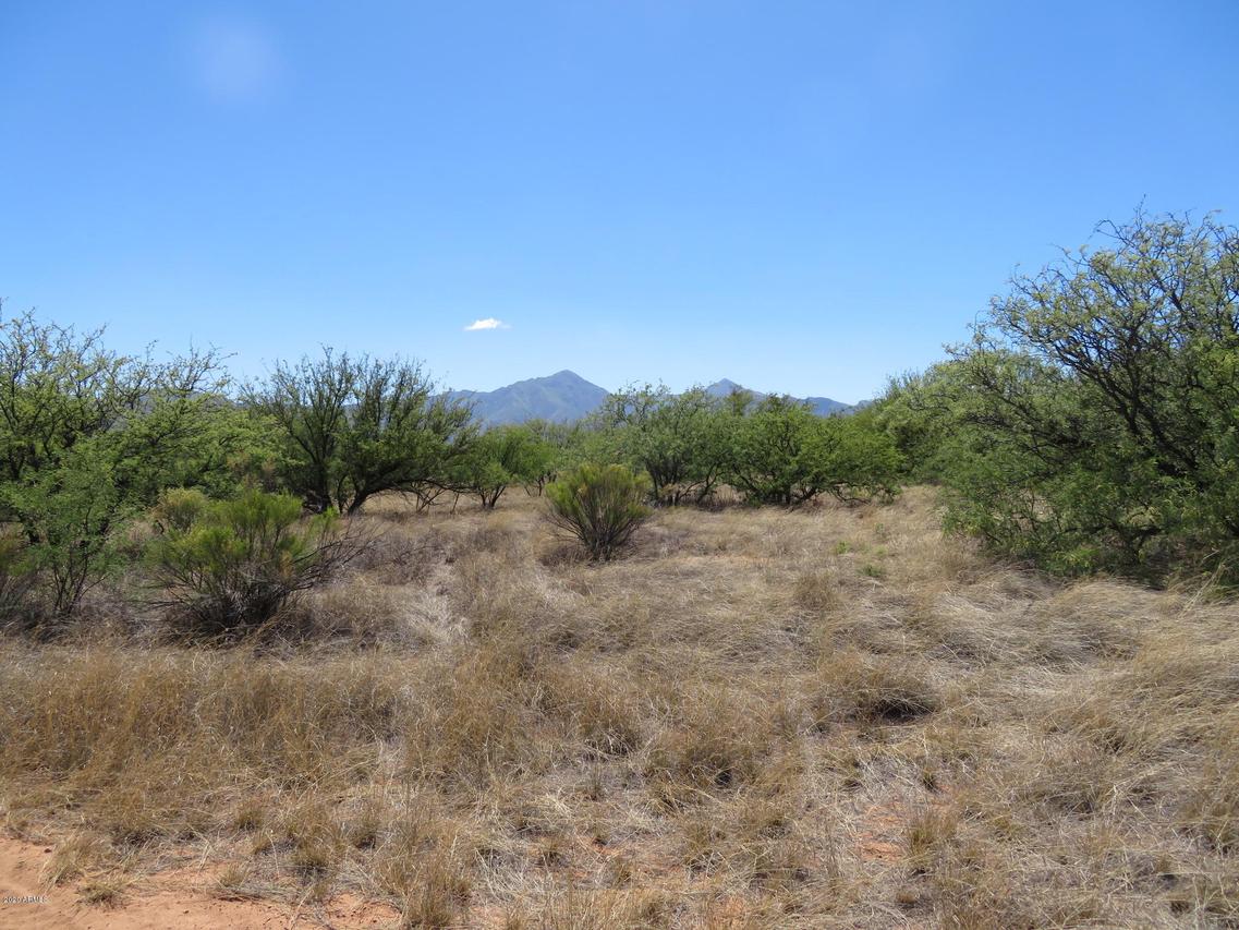 TBD Mellak Rd. #-b, Hereford, AZ 85615