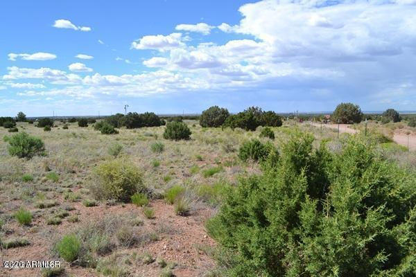 4524 E Pinto Rd. #52, Snowflake, AZ 85937