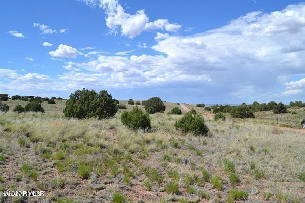 4498 Appaloosa Rd. #56, Snowflake, AZ 85937