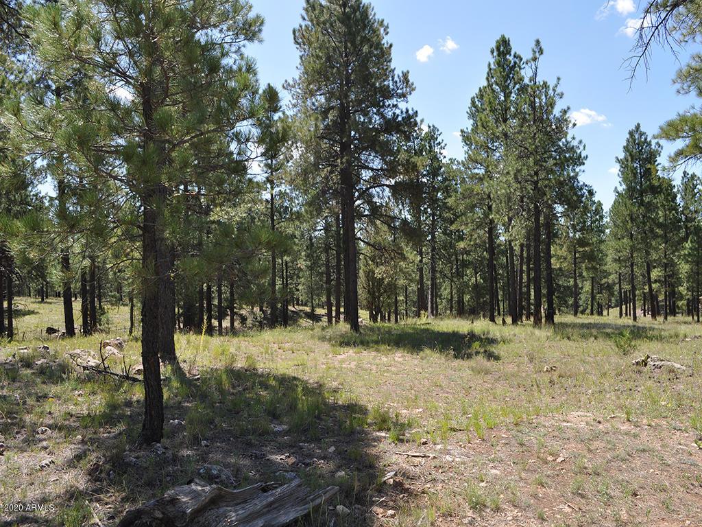 2588 S Pinyon Jay Dr. #17, Flagstaff, AZ 86005