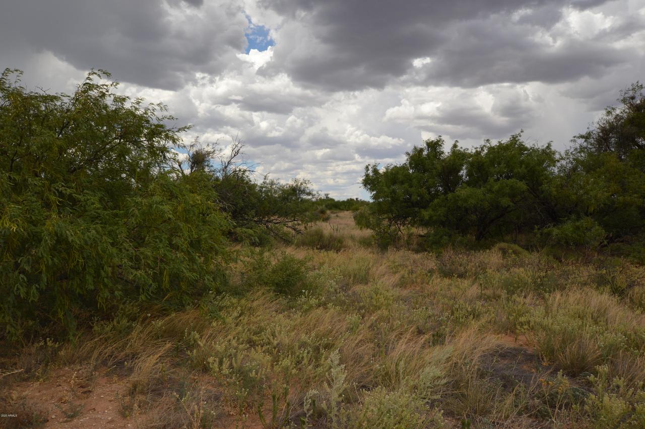 tbd E Bloomfield Rd. #-, Hereford, AZ 85615