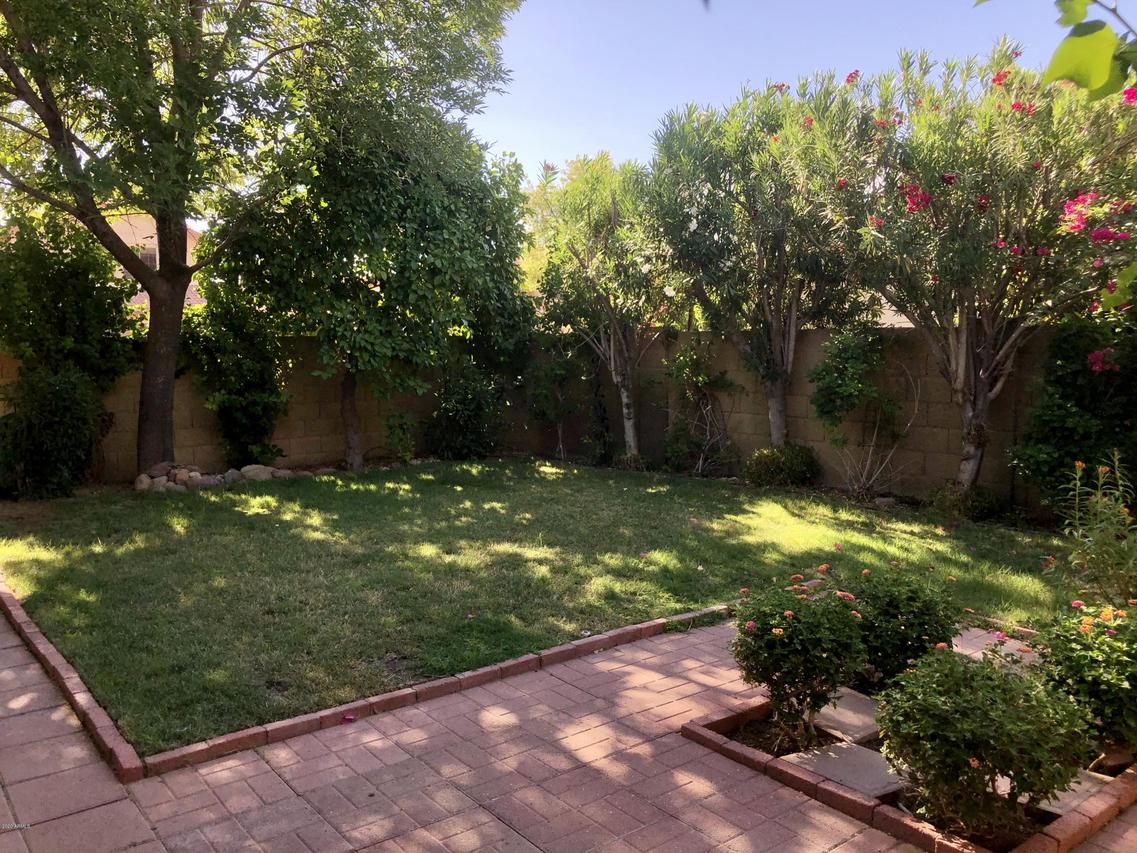 2450 W Park Ave., Chandler, AZ 85224