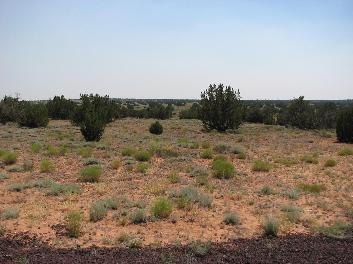 2051 Highline Dr. #055, Heber, AZ 85928