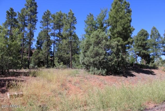 6997 Leo Ln. #33, Lakeside, AZ 85929