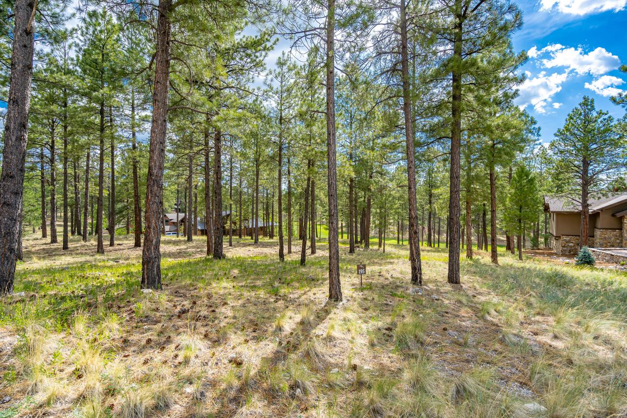 2548 E Del Rae Dr. #195, Flagstaff, AZ 86005