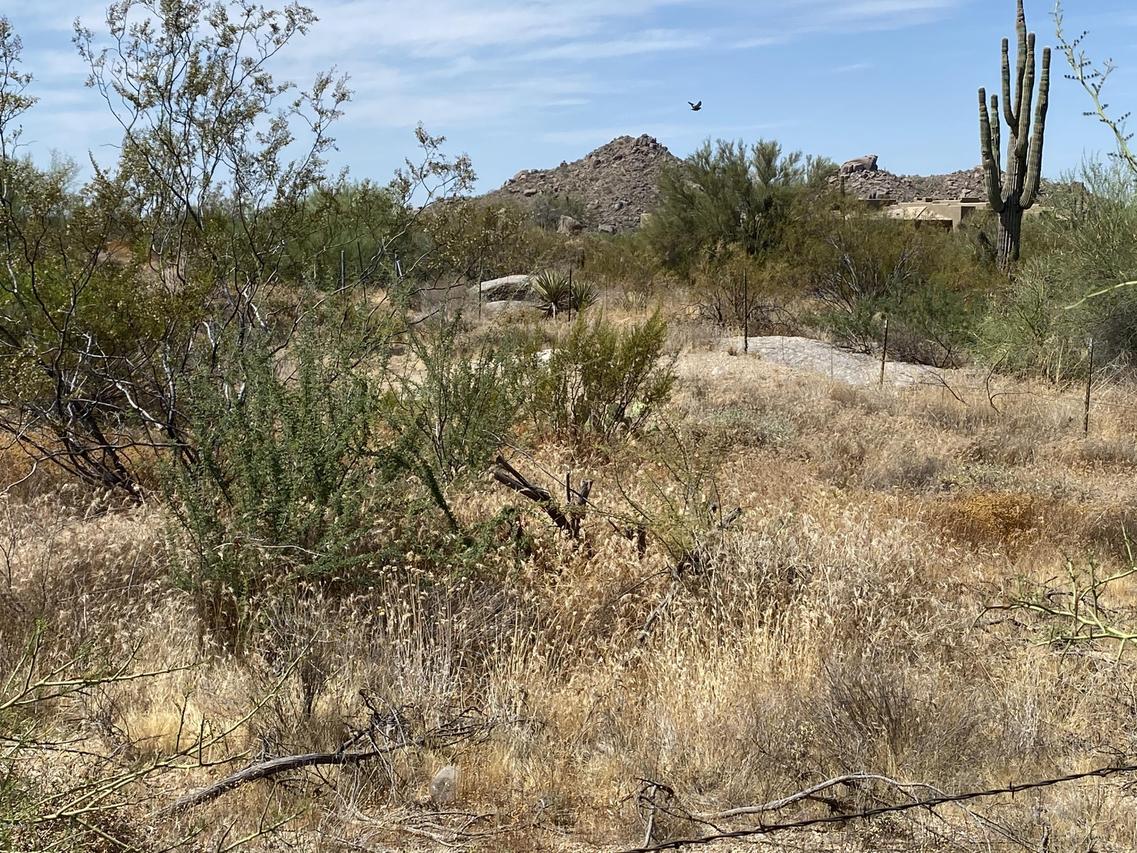 E Black Mountain Rd. #'-', Scottsdale, AZ 85266