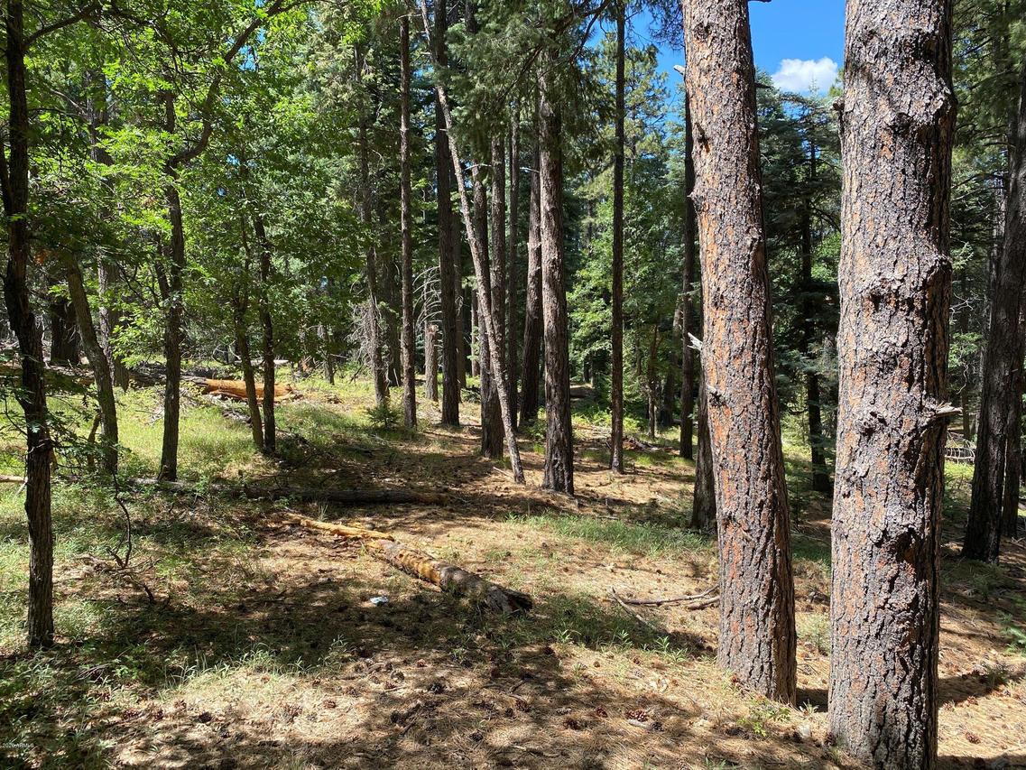 0000 St. Route 261 #-, Prescott, AZ 86303
