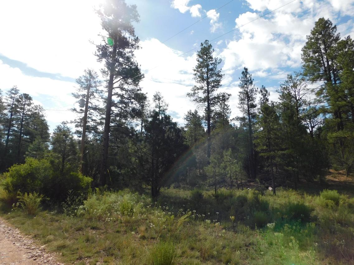 1923 Green Valley Rd. #-, Heber, AZ 85928