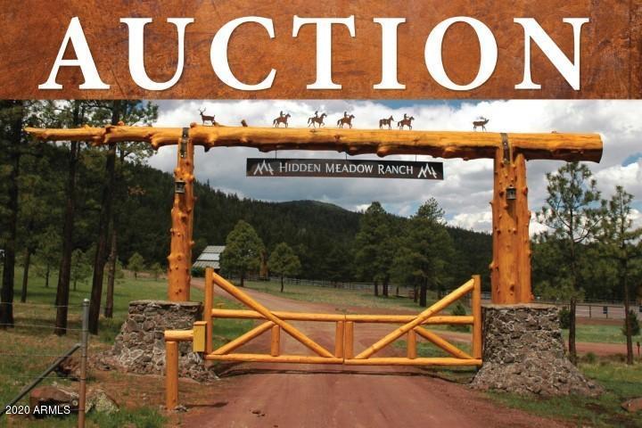 34 County Road N1330 #14, Greer, AZ 85927