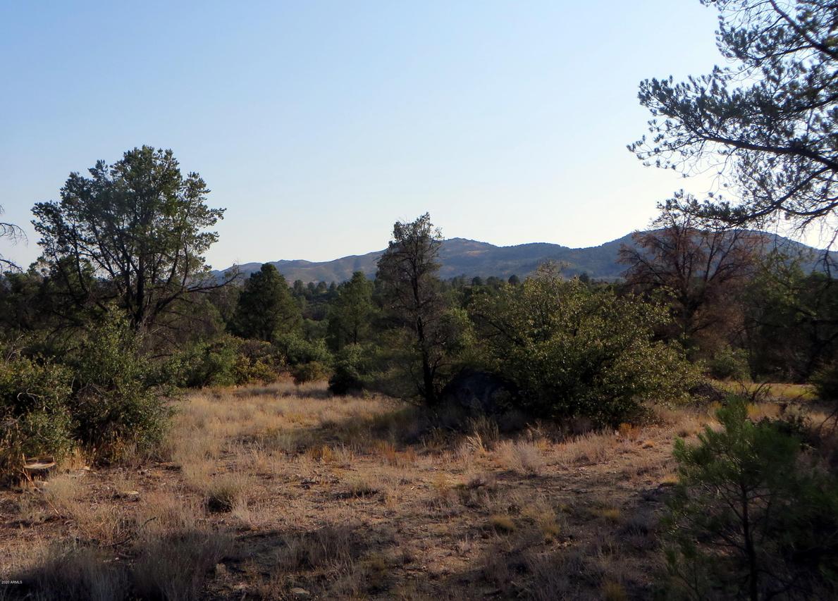 17575 W Buckhorn Dr. #-, Peeples Valley, AZ 86332