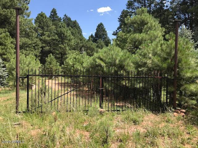 1225 Highway Loop #879, Forest Lakes, AZ 85931