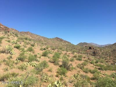 00xx N Lake Pleasant/cow Creek Rd. #6, Morristown, AZ 85342