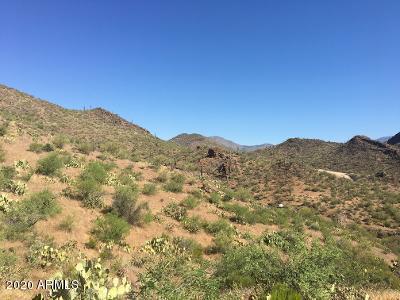Lake Pleasant/columbia Mine Tr Rd. #83, Morristown, AZ 85342