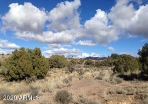Lot 301B Silver Springs Rd. #301B, Kingman, AZ 86401