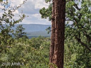 658 N Myrtle Point Tr. #40B, Christopher Creek, AZ 85541