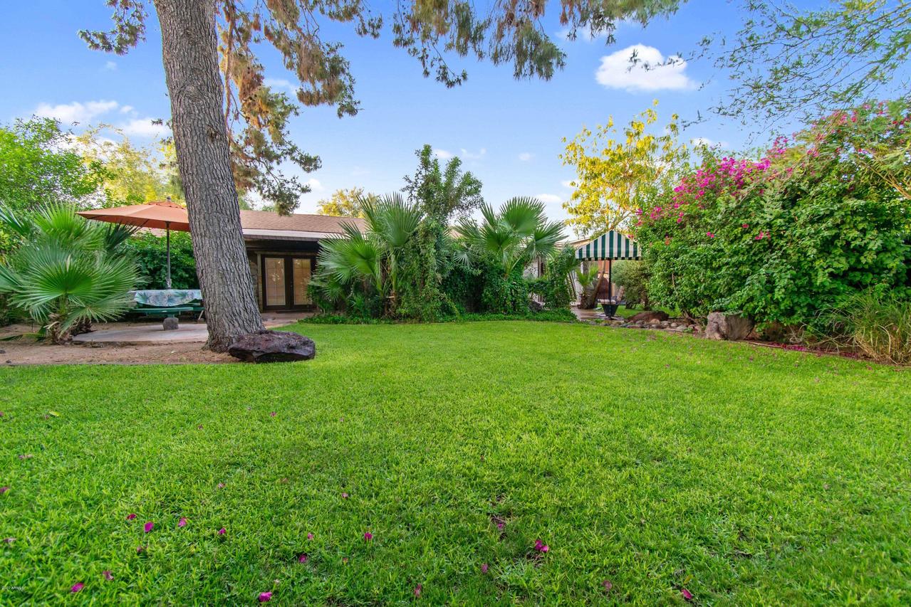 8340 E Thomas Rd., Scottsdale, AZ 85251