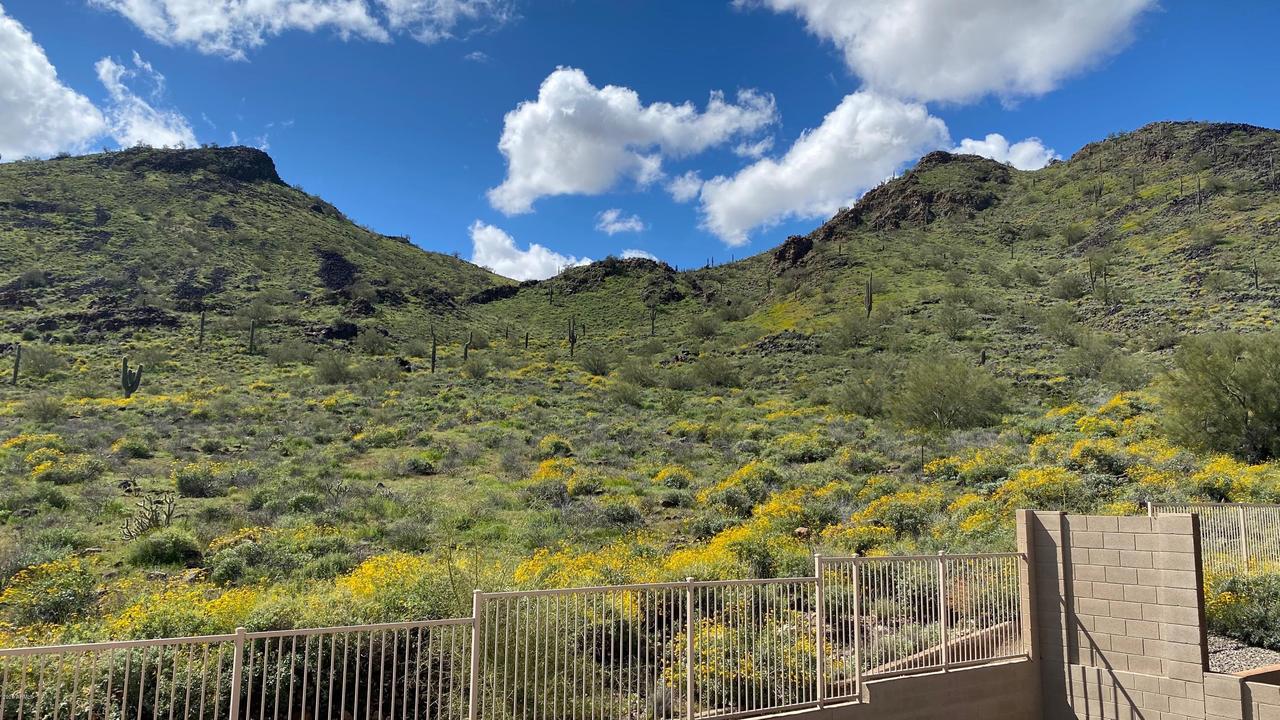 26606 N 59th Dr., Phoenix, AZ 85083