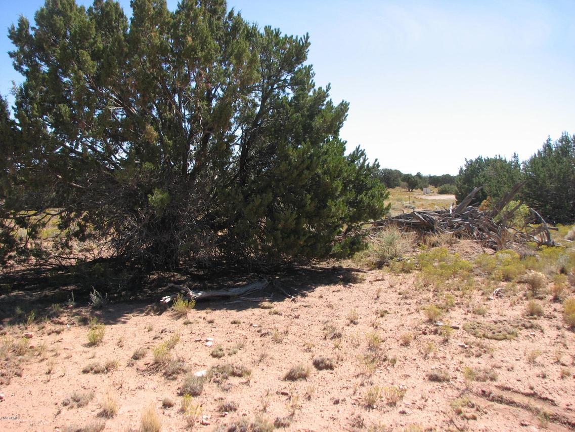Lot 46 Chevelon Retreat #1 #46, Heber, AZ 85928