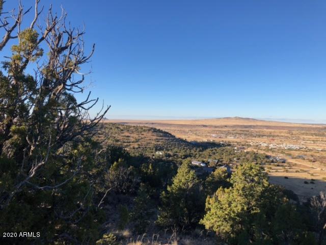 XXXX Wye St. #-, Eagar, AZ 85925