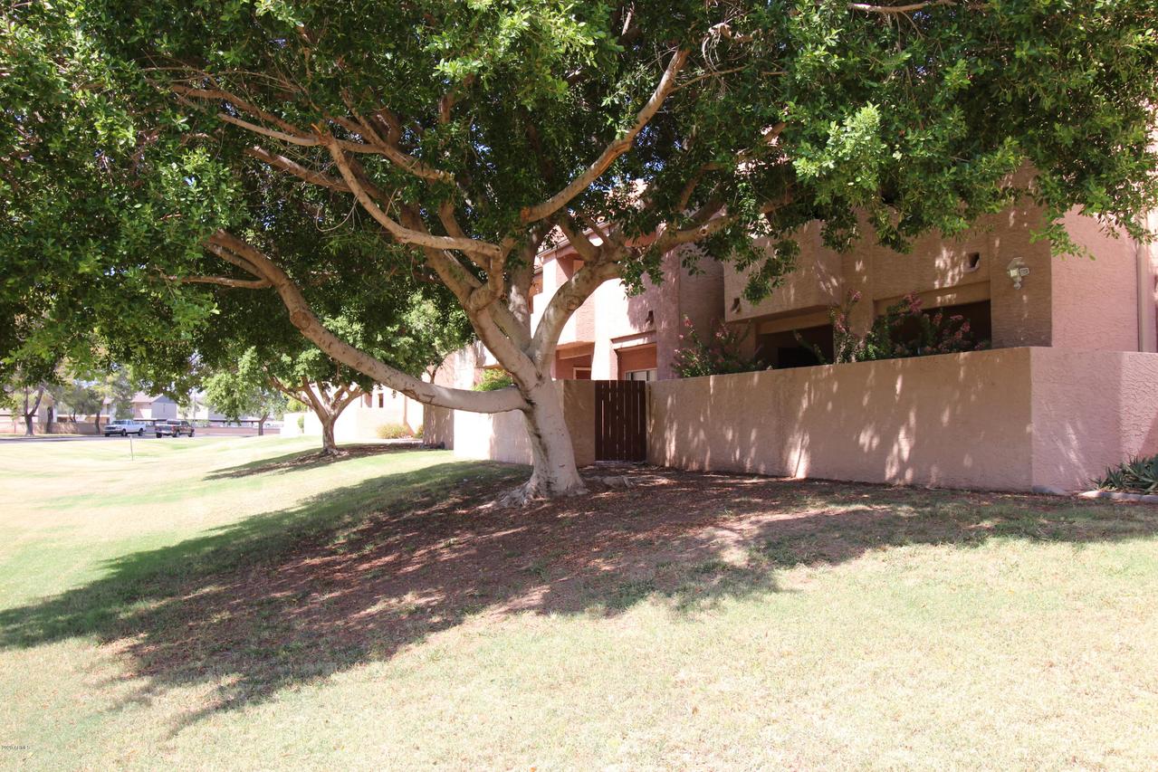 540 N May #1083, Mesa, AZ 85201