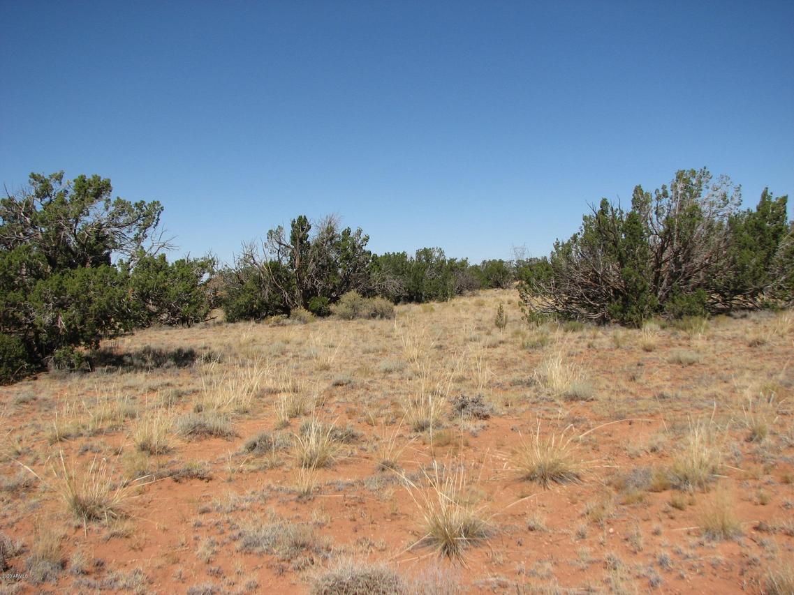5994 Harden Rd. #167, Heber, AZ 85928