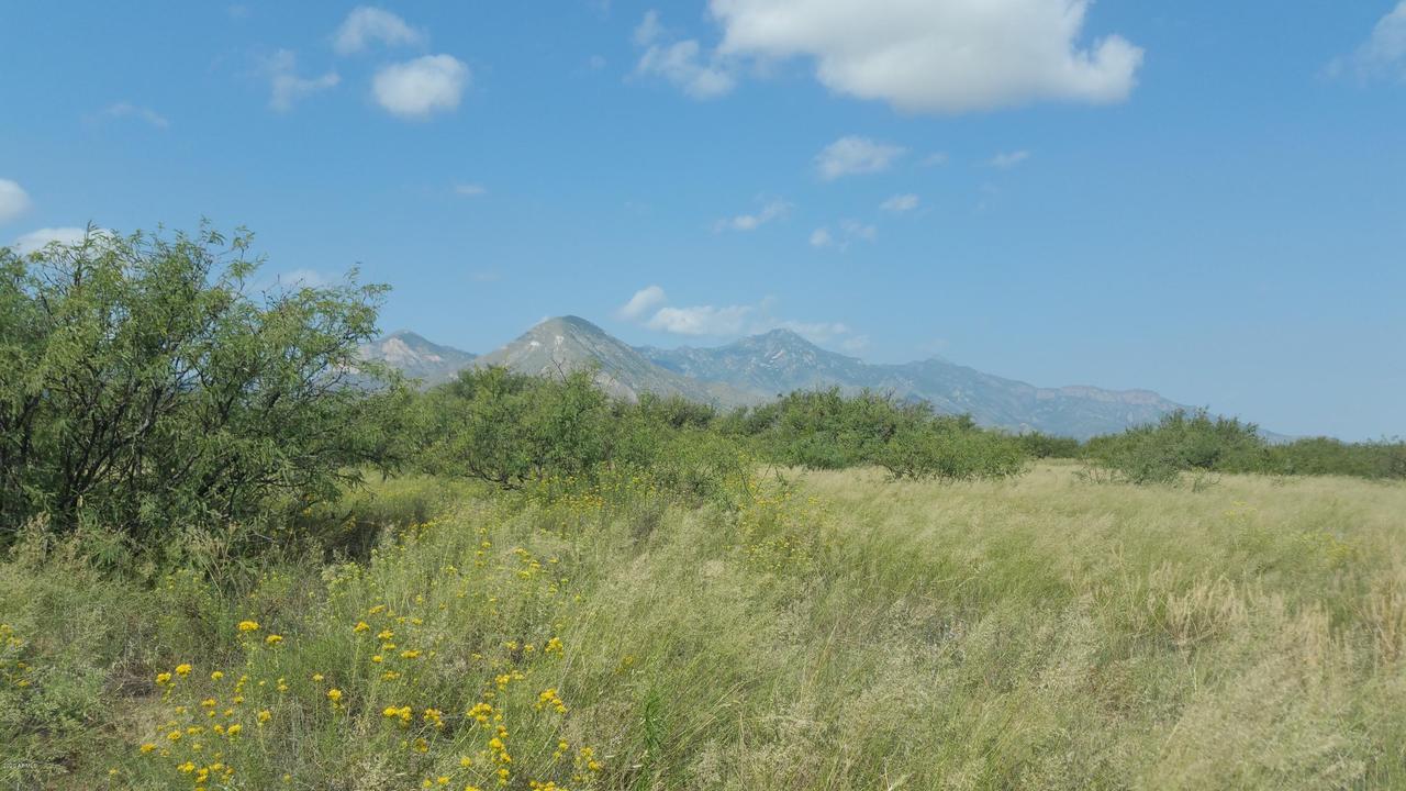 TBD E Mustang Tr. #1, Hereford, AZ 85615