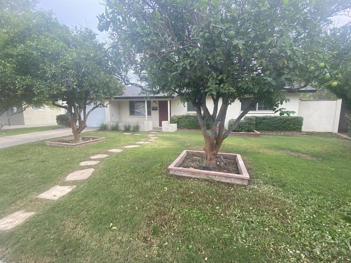 6539 E 4th St., Scottsdale, AZ 85251